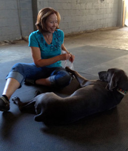 Cindy Training Max at Red Rover Pet Services LLC Dog Daycare and Boarding in Nashville TN