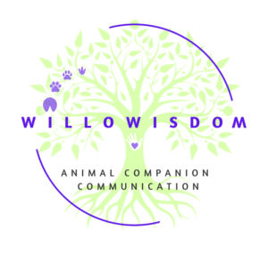 willowisdom logo - Animal Companion Communication